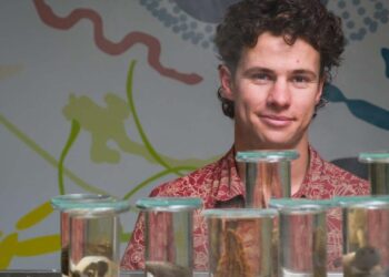 Breyten van der Merwe from Stellenbosch University with his collection of mushrooms in the department of microbiology. Photo: Supplied/Stefan Els