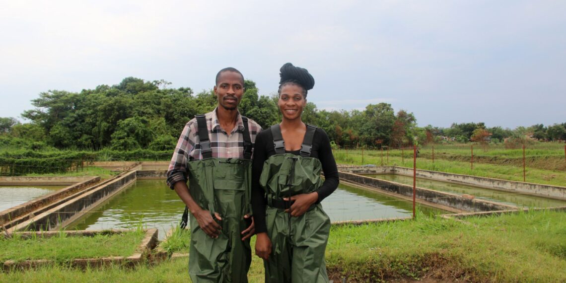 Aquaculture: More than 60 young aspiring agripreneurs, including Aubrain Lyavuka, attended the OYA programme training given by FAO. Trainees learned the necessities to be able to establish their own farms and become successful agripreneurs. Photo: Supplied/FAO/Filip Forti