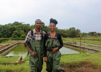 Aquaculture: More than 60 young aspiring agripreneurs, including Aubrain Lyavuka, attended the OYA programme training given by FAO. Trainees learned the necessities to be able to establish their own farms and become successful agripreneurs. Photo: Supplied/FAO/Filip Forti