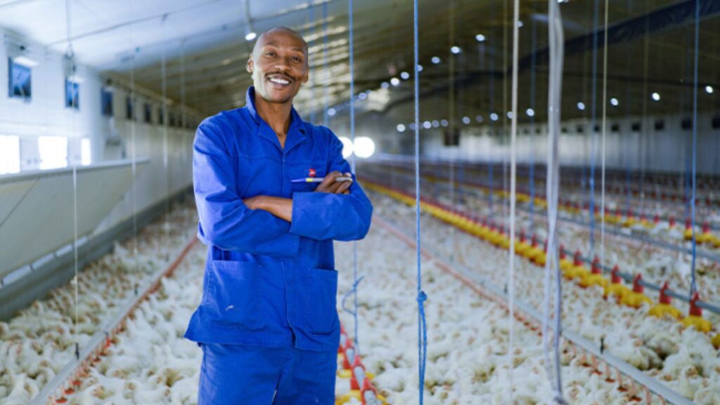 Inkqubo kaMcDonald’s ibethelela unyaniseko kubathengi ngokwazisa iinkqubo ezisemagqabini zokuziswa nokwenziwa kokutya nokuhanjiswa efama kuye etafileni.