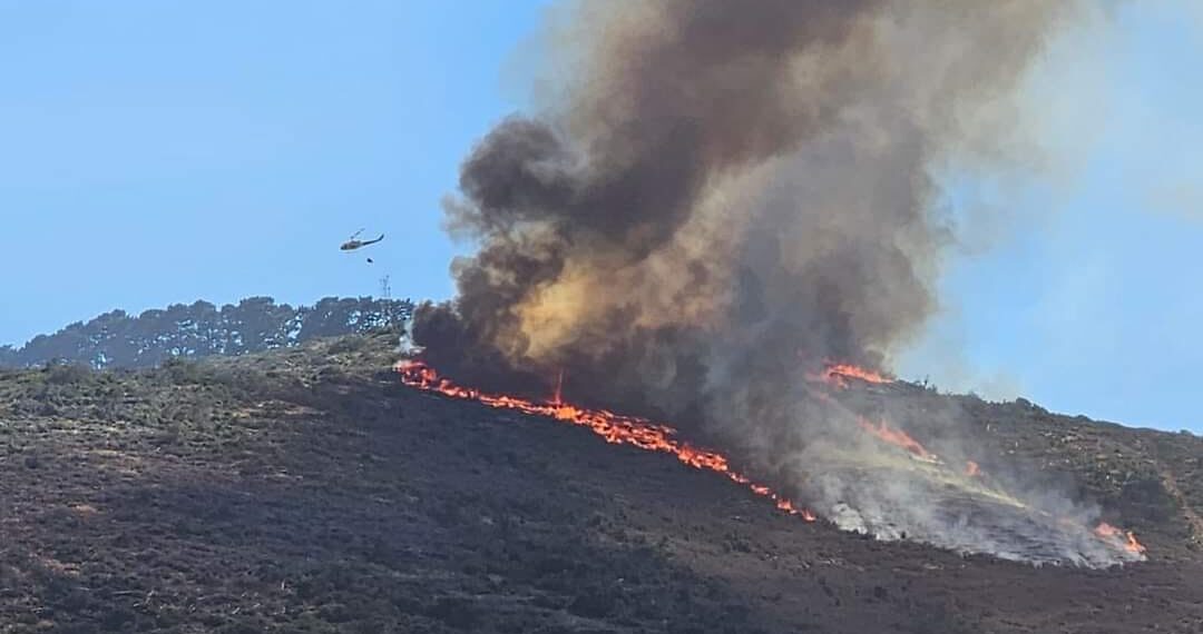 The recent deadly wildfires in South Africa's KwaZulu-Natal province highlight the urgent need for improved fire management in the country. Photo: Supplied/Winelands Fire Protection Association