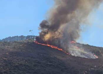 Safety first! Prepare your farm for veld fires