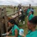 NWU’s programme nurturing future animal health leaders