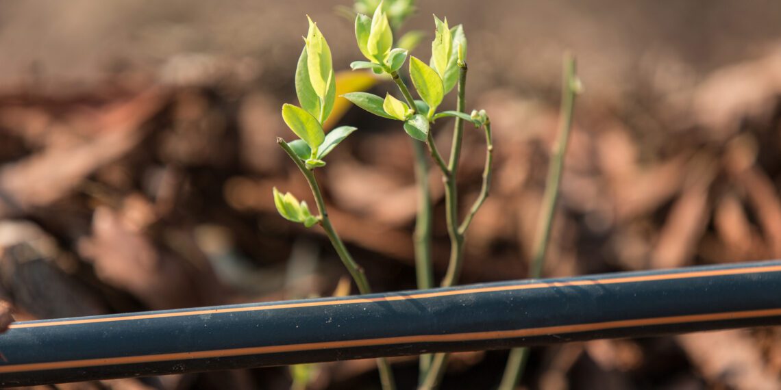 On Earth Day, Netafim showcases their latest irrigation advancements, like the TurbuNet™ and TurbuNext™ labyrinths, designed to improve efficiency and reduce clogging in tree crop irrigation. Photo: Supplied/Netafim