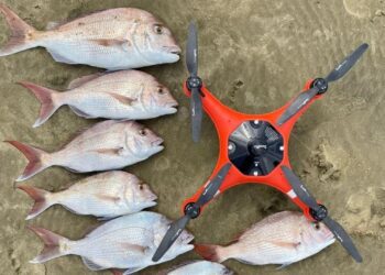 Supreme Court blocks fishing drones, protects marine life