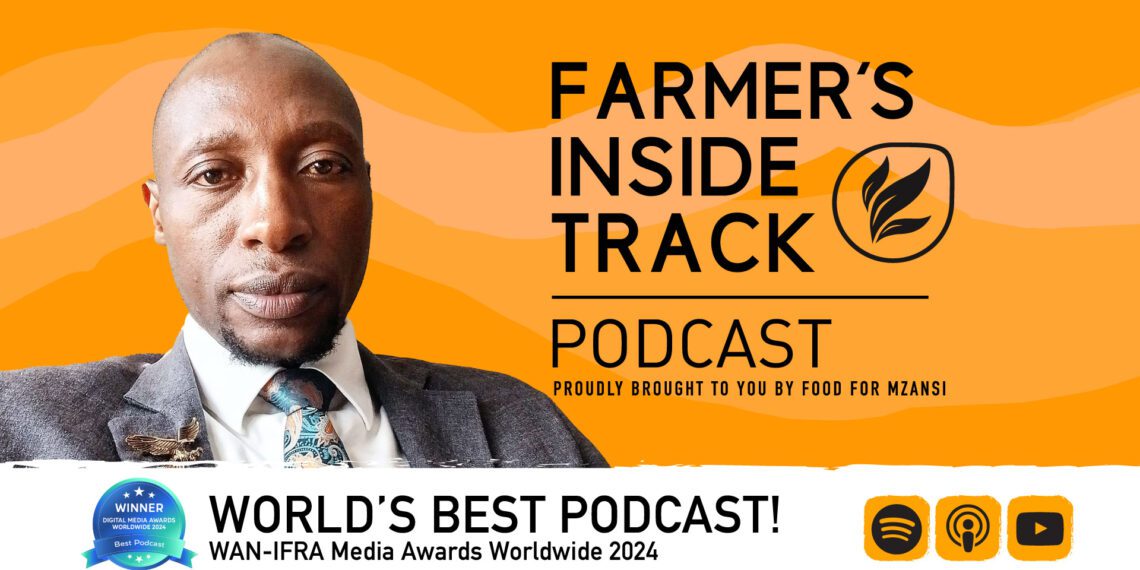 Jeremiah Jothams is the executive director of operations at Basadi Agribusiness. Photo: Food For Mzansi