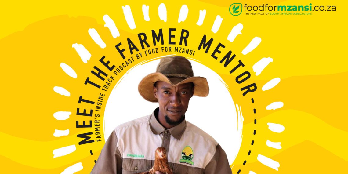Sizo Tshabalala, poultry farmer in Elukwatini, Mpumalanga. Photo: Supplied/Food For Mzansi