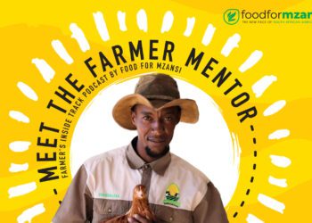 Sizo Tshabalala’s laying the foundation for farming fortune