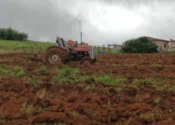 Sphelele Ncayiyana, a crop farmer from Harding in KwaZulu-Natal specialising in cabbages. Photo: Supplied/Food For Mzansi