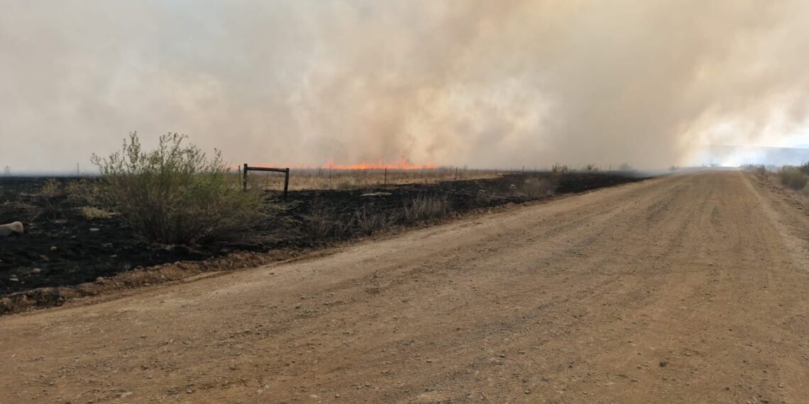 Some of the grazing land that has burnt down in the Free State. Photo: Supplied/Food For Mzansi
