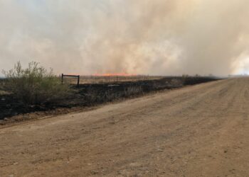 Joining Fire Protection Associations key to combat veld fires