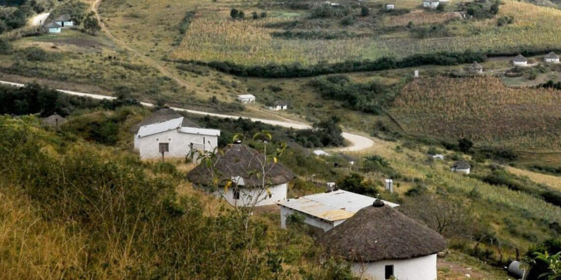 Researchers from the Agricultural Research Council share their thoughts on exaggerated views around land reform. Photo: Supplied/Food For Mzansi
