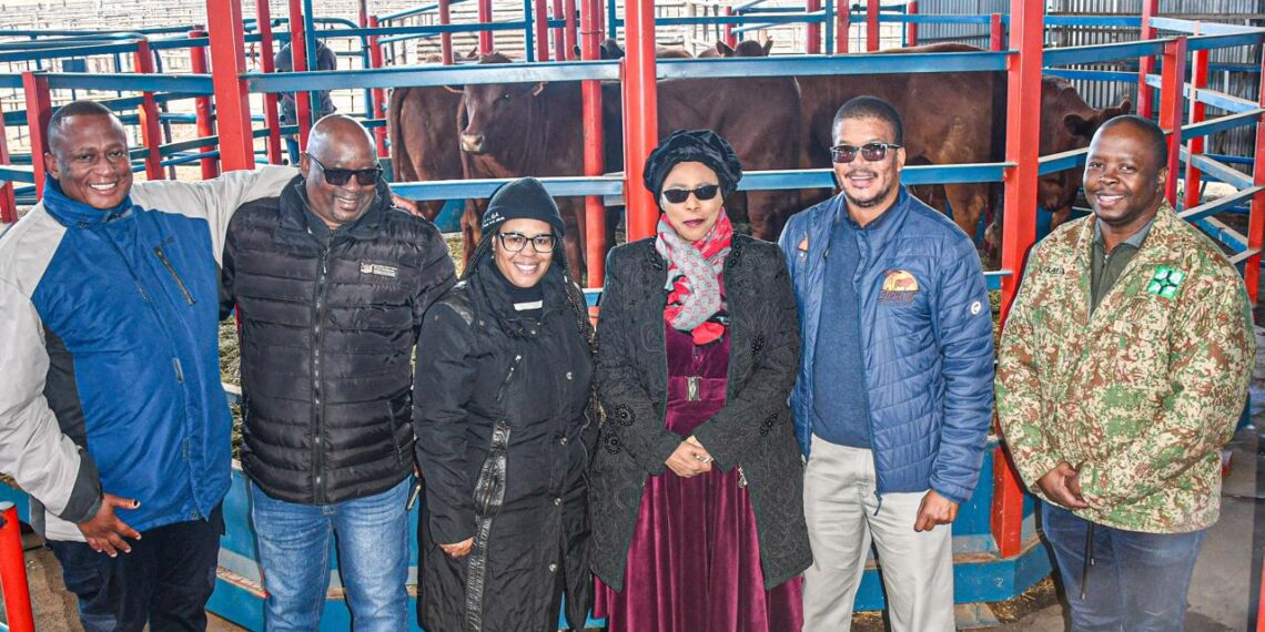 Northern Cape MEC Mase Manopole (third from the right) handed over Bonsmara cattle to traditional leaders in Kuruman. Photo: Supplied/Food For Mzansi