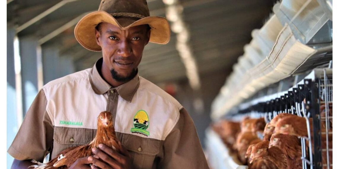 Sizo Tshabalala is an inspiring young farmer from Mpumalanga who runs a layer and egg farming business, as well as crops. Photo: Supplied/Food For Mzansi