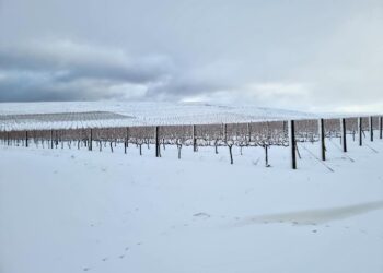 Snow-covered mountains in the Western Cape amidst a severe weather warning, impacting local agriculture. Photo: Supplied/Arrive Alive