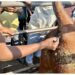 Keep track of livestock health with thermometers