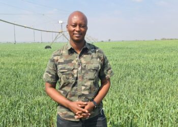 Dimpho Xaba isn’t just a farmer; he’s a leader, educator, and advocate for sustainable agriculture. His multifaceted career inspires change, empowers others, and advances the agricultural sector. Photo: Supplied/Food For Mzansi