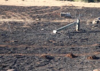 FS farmers struggle after devastating veld fires