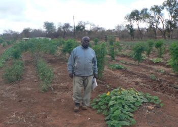 Farmers in fight for land over Motsepe Foundation citrus project