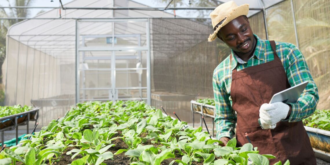 Agribusinesses across South Africa have demonstrated remarkable innovation and resilience despite recent challenges. Photo: Supplied/Food For Mzansi