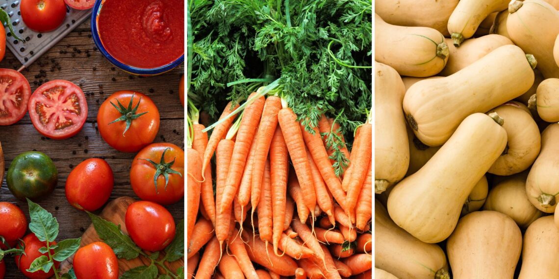 Household affordability index: Recent price drops in tomatoes, carrots, butternut, and spinach – up to 9% - bring a welcome relief to food costs. Photos: Supplied/Food For Mzansi