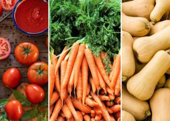 Household affordability index: Recent price drops in tomatoes, carrots, butternut, and spinach – up to 9% - bring a welcome relief to food costs. Photos: Supplied/Food For Mzansi