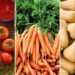 Household affordability index: Recent price drops in tomatoes, carrots, butternut, and spinach – up to 9% - bring a welcome relief to food costs. Photos: Supplied/Food For Mzansi