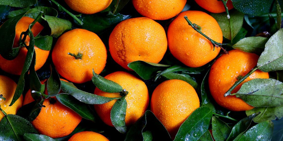 According to the latest household affordability index, oranges saw a price decrease of 5%, providing a small but appreciated break in food costs. Photo: Supplied/Food For Mzansi