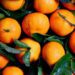 According to the latest household affordability index, oranges saw a price decrease of 5%, providing a small but appreciated break in food costs. Photo: Supplied/Food For Mzansi