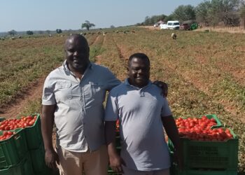 R100-million fund boosts Limpopo small-scale farmers