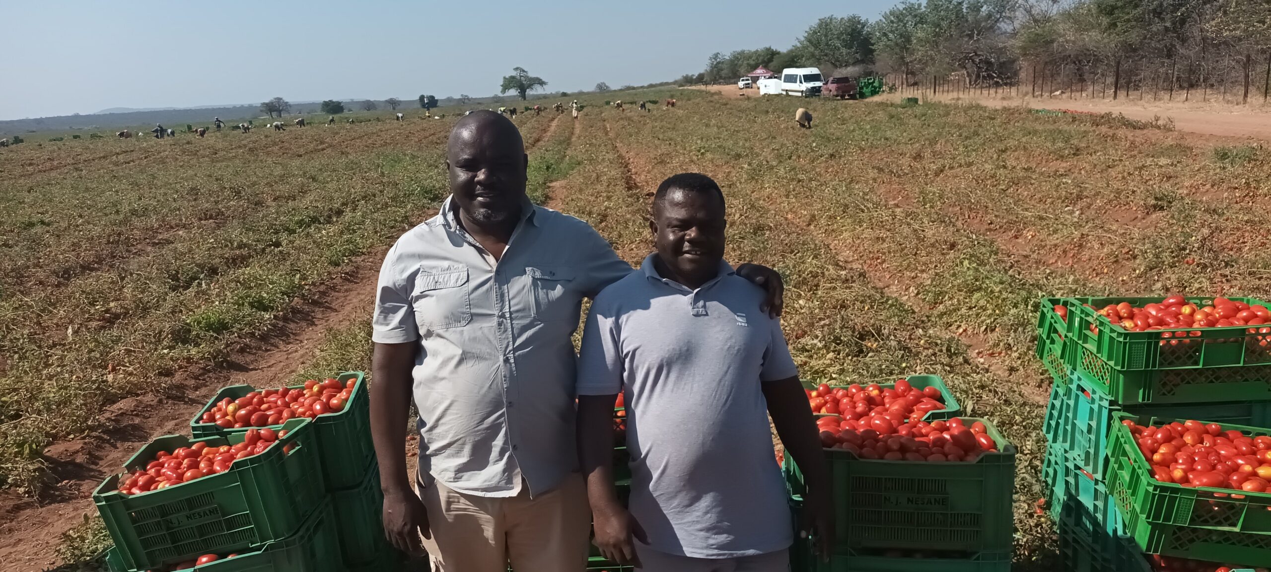 R100-million fund boosts Limpopo small-scale farmers - Food For Mzansi