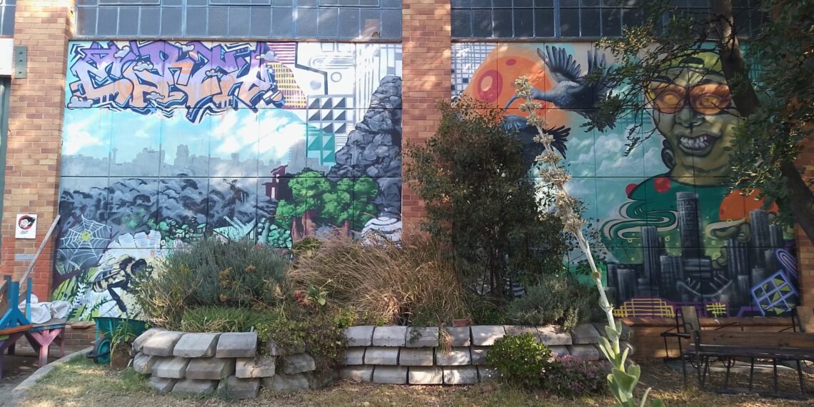 A community-driven initiative is transforming a neglected piece of land in Orange Grove, Johannesburg, into a thriving permaculture hub. Photo: Supplied/Facebook
