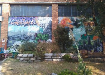 A community-driven initiative is transforming a neglected piece of land in Orange Grove, Johannesburg, into a thriving permaculture hub. Photo: Supplied/Facebook