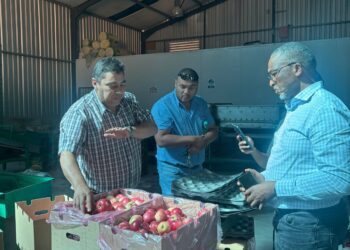 Power lifeline recharges Alona Fresh Produce