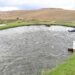 Aquaculture Development Bill criticised for its blind spots