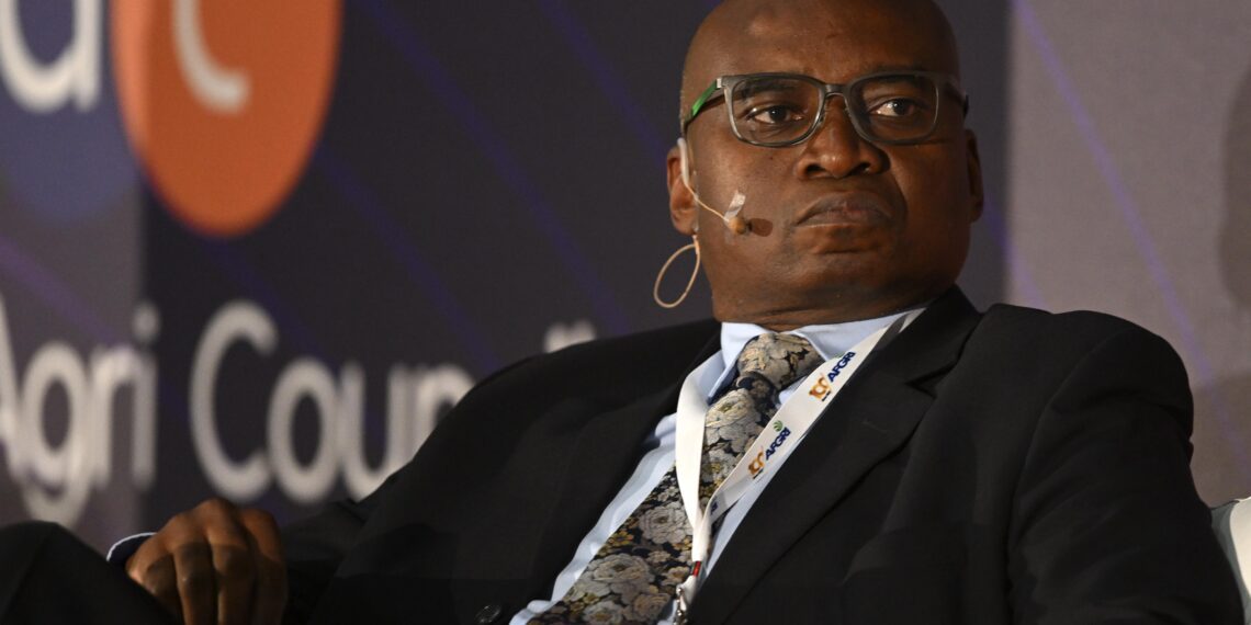 Ben Leyka, CEO of the African Agri Council. Photo: Supplied/Ryan Wilkisky/BackpagePix