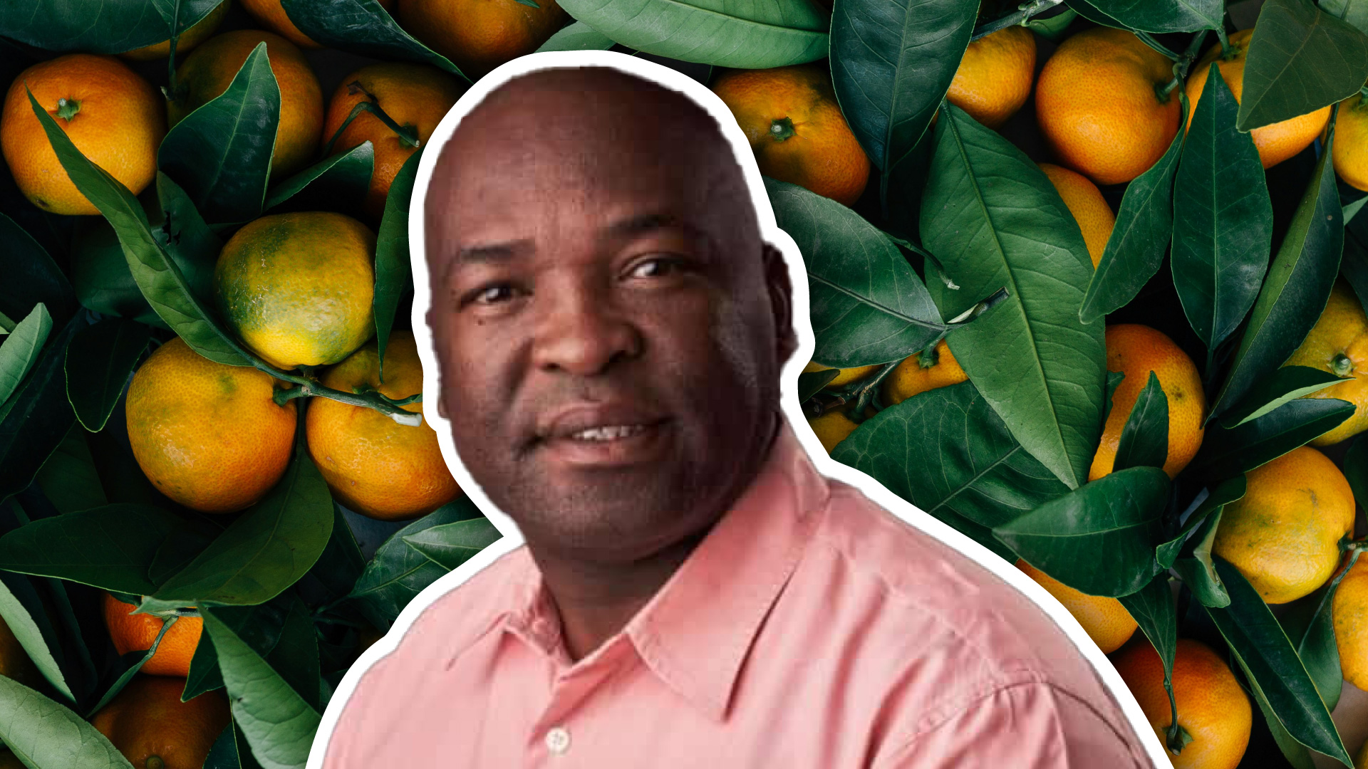 Unified support vital to helping black farmers grow - Food For Mzansi
