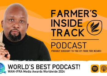 Enhance soil health by intercropping indigenous vegetables