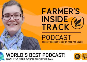 Enhance soil health by intercropping indigenous vegetables