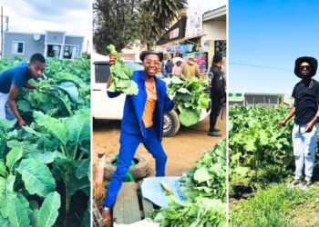 Farmer Kauta flies the flag with exotic crops in Gabajana