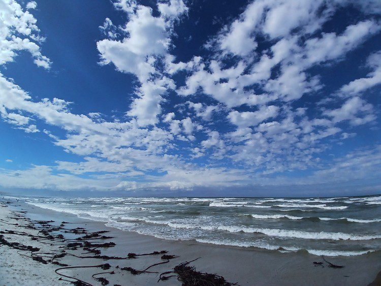 Part of False Bay is a Marine Protected Area, one of 41 such areas in South Africa. Photo: Renée Bonorchis