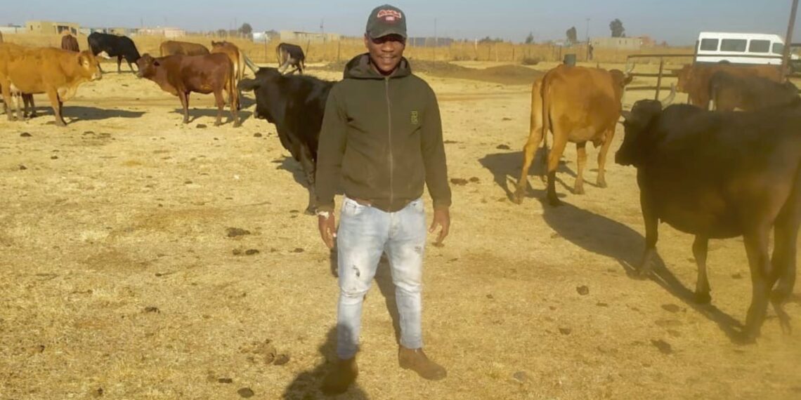 Despite challenges like theft and disease, Thokozane Ndlovu continues to grow his business with hopes of becoming a leading meat supplier and easing the burden of rising food prices in South Africa. Photo: Supplied/Food For Mzansi