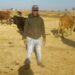 Despite hardships Ndlovu banks on farming success