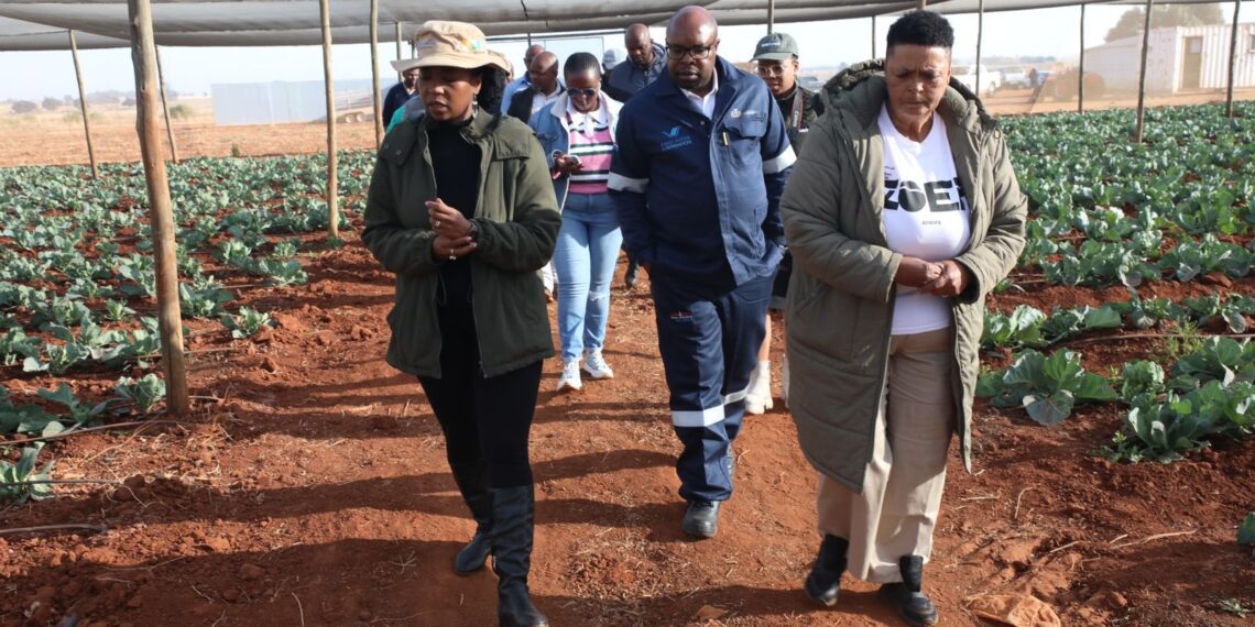 MEC Vuyiswa Ramokgopa and department officials visit farmers in Emfuleni. Photo: Supplied/Food For Mzansi