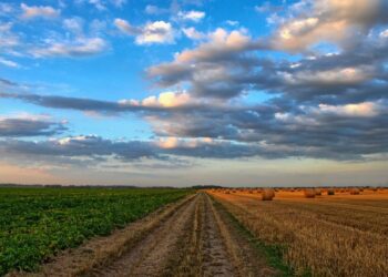 Erratic weather systems threaten agroecosystems