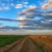 Erratic weather systems threaten agroecosystems