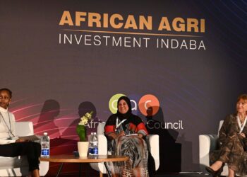 Top speakers engage in discussions at last year’s African Agri Investment Indaba in Cape Town. At AAII24, key stakeholders will explore climate-smart strategies to drive agricultural growth and resilience across Africa. Photo: Supplied/AAII