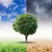 Cutting-edge climate tech solutions will be on display at the AfricArena Nairobi Summit. From 1 to 4 September, start-ups will pitch their innovation and connect with top investors and experts at the summit, part of Africa Climate Tech Week. Photo: Supplied/Food For Mzansi