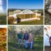 Goedgedacht Trust breaks olive harvest record