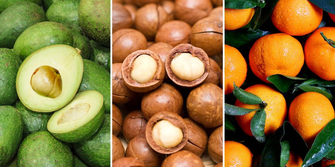 South African avocados, macadamias, and citrus: A delicious trio of exports driving the country’s economy. While avocados and macadamias are thriving, the citrus industry faces challenges from climate variability and global competition. Photos: Supplied/Food For Mzansi